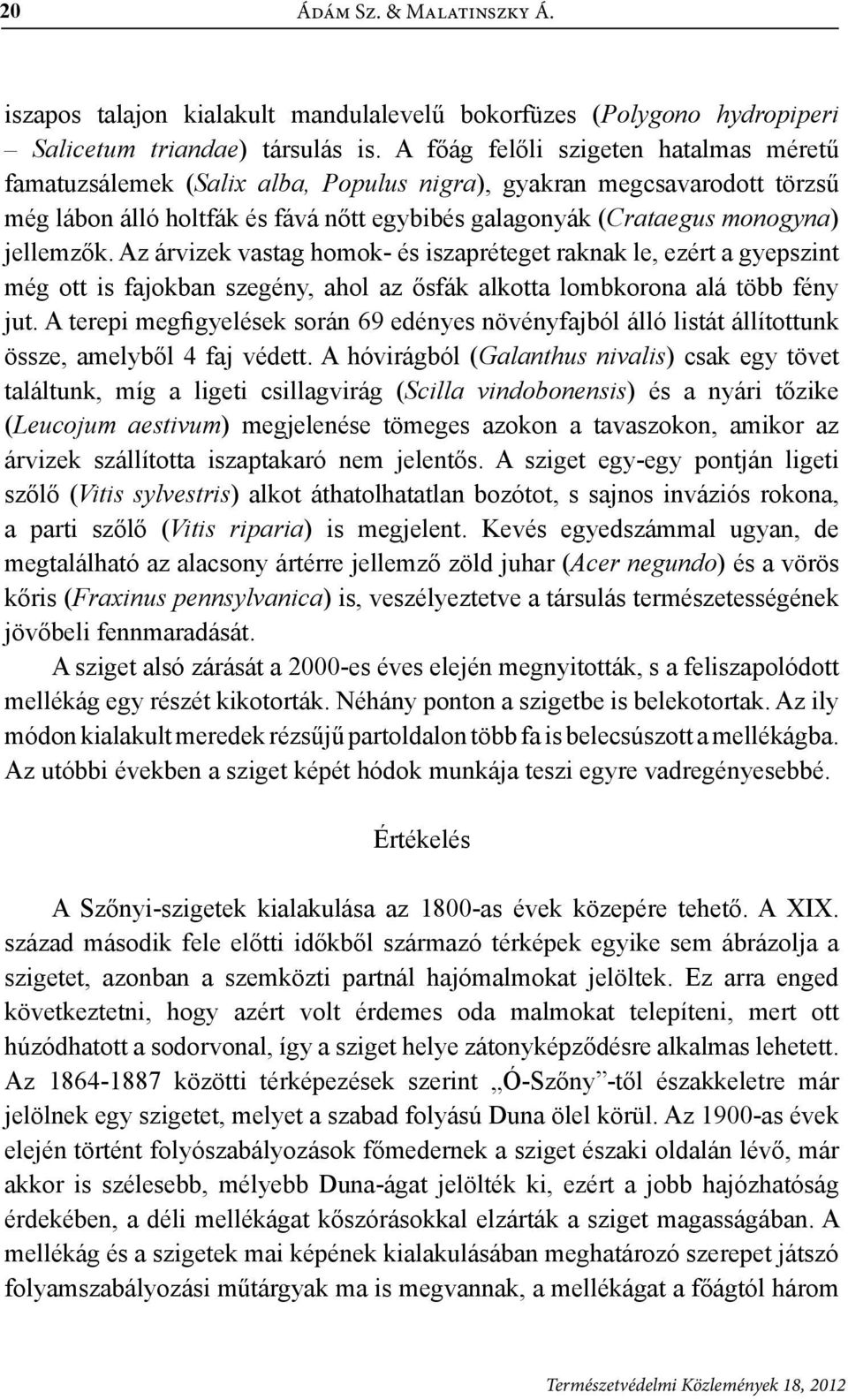 Az árvizek vastag homok- és iszapréteget raknak le, ezért a gyepszint még ott is fajokban szegény, ahol az ősfák alkotta lombkorona alá több fény jut.