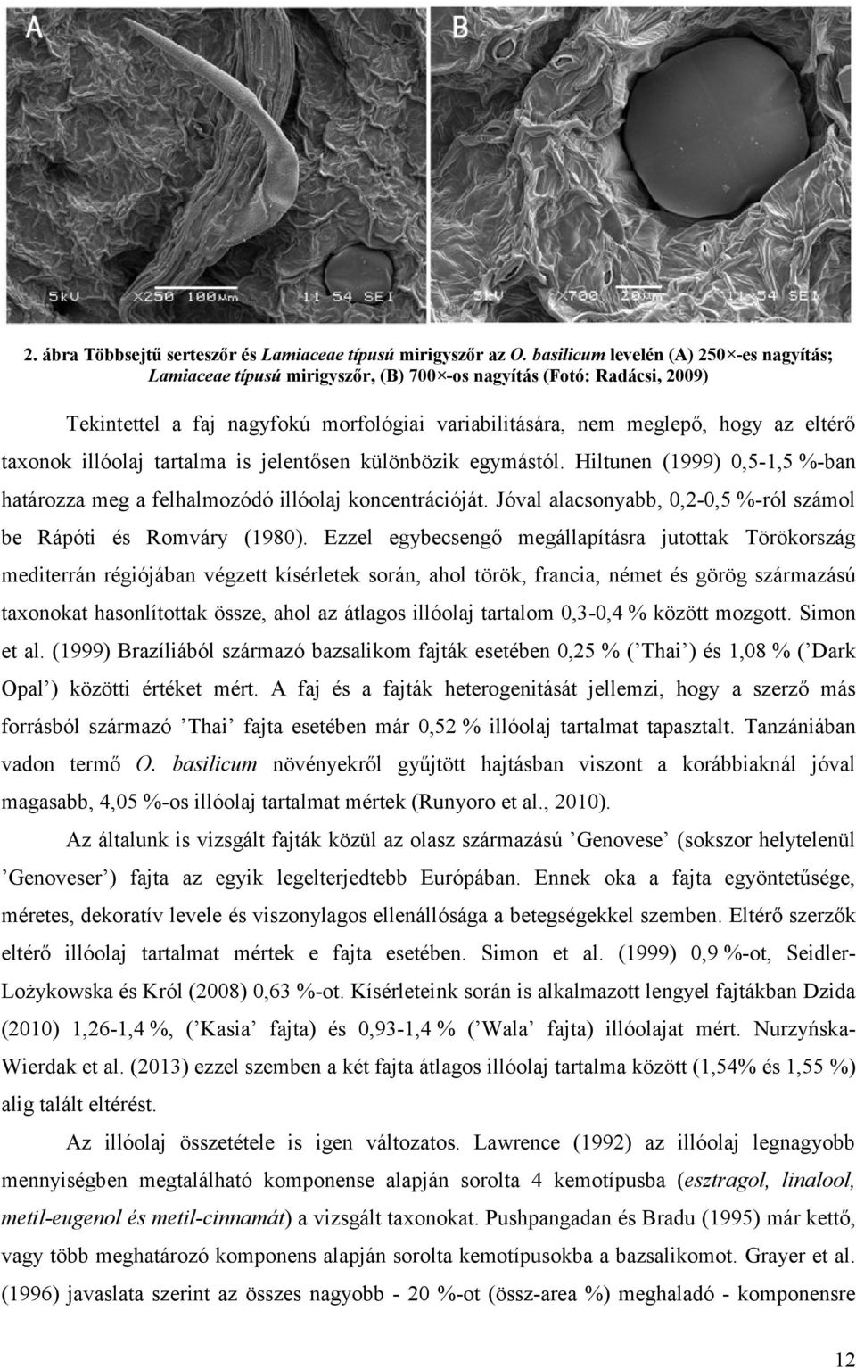 taxonok illóolaj tartalma is jelentősen különbözik egymástól. Hiltunen (1999) 0,5-1,5 %-ban határozza meg a felhalmozódó illóolaj koncentrációját.