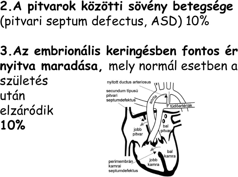 Az embrionális keringésben fontos ér nyitva