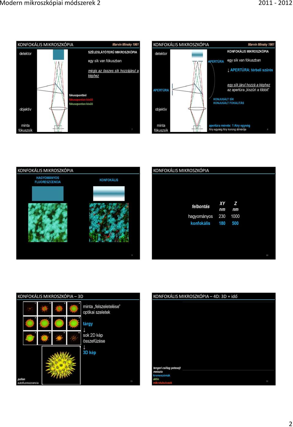 FOKALITÁS minta fókuszsík 7 minta fókuszsík apertúra mérete: 1 Airy egység Airy egység:airy korong átmérője 8 HAGYOMÁNYOS FLUORESZCENCIA KONFOKÁLIS XY Z hagyományos 230 1000 konfokális