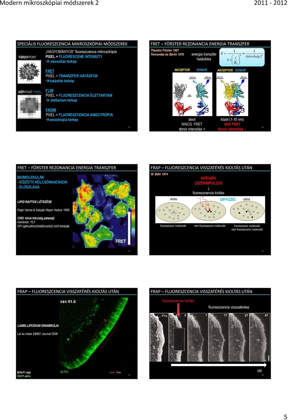 PIXEL = FLUORESZCENCIA ÉLETTARTAM élettartam térkép FADIM PIXEL = FLUORESZCENCIA ANIZOTRÓPIA anizotrópia térkép 25 távol NINCS FRET donor intenzitás = közel (1-10 ) VAN FRET donor intenzitás 26 FRET