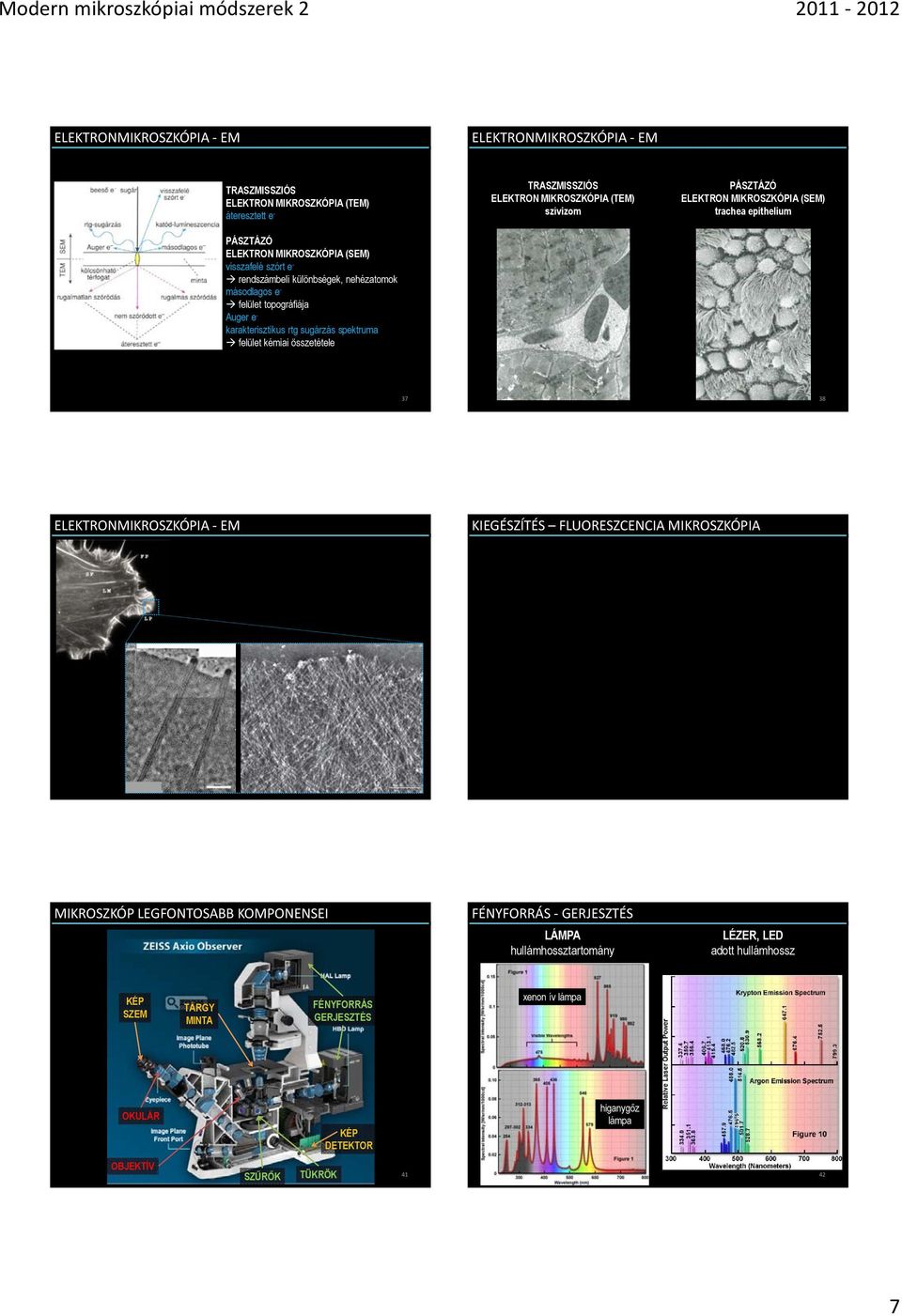 ELEKTRON MIKROSZKÓPIA (SEM) trachea epithelium 37 38 KIEGÉSZÍTÉS FLUORESZCENCIA MIKROSZKÓPIA 39 MIKROSZKÓP LEGFONTOSABB KOMPONENSEI FÉNYFORRÁS GERJESZTÉS LÁMPA