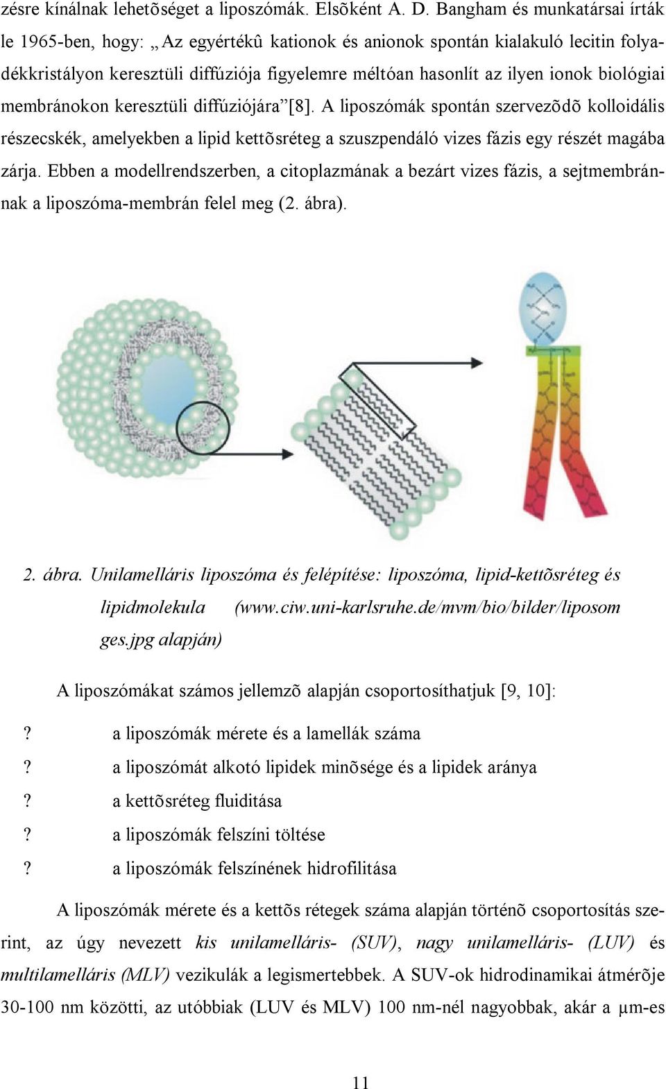 biológiai membránokon keresztüli diffúziójára [8]. A liposzómák spontán szervezõdõ kolloidális részecskék, amelyekben a lipid kettõsréteg a szuszpendáló vizes fázis egy részét magába zárja.