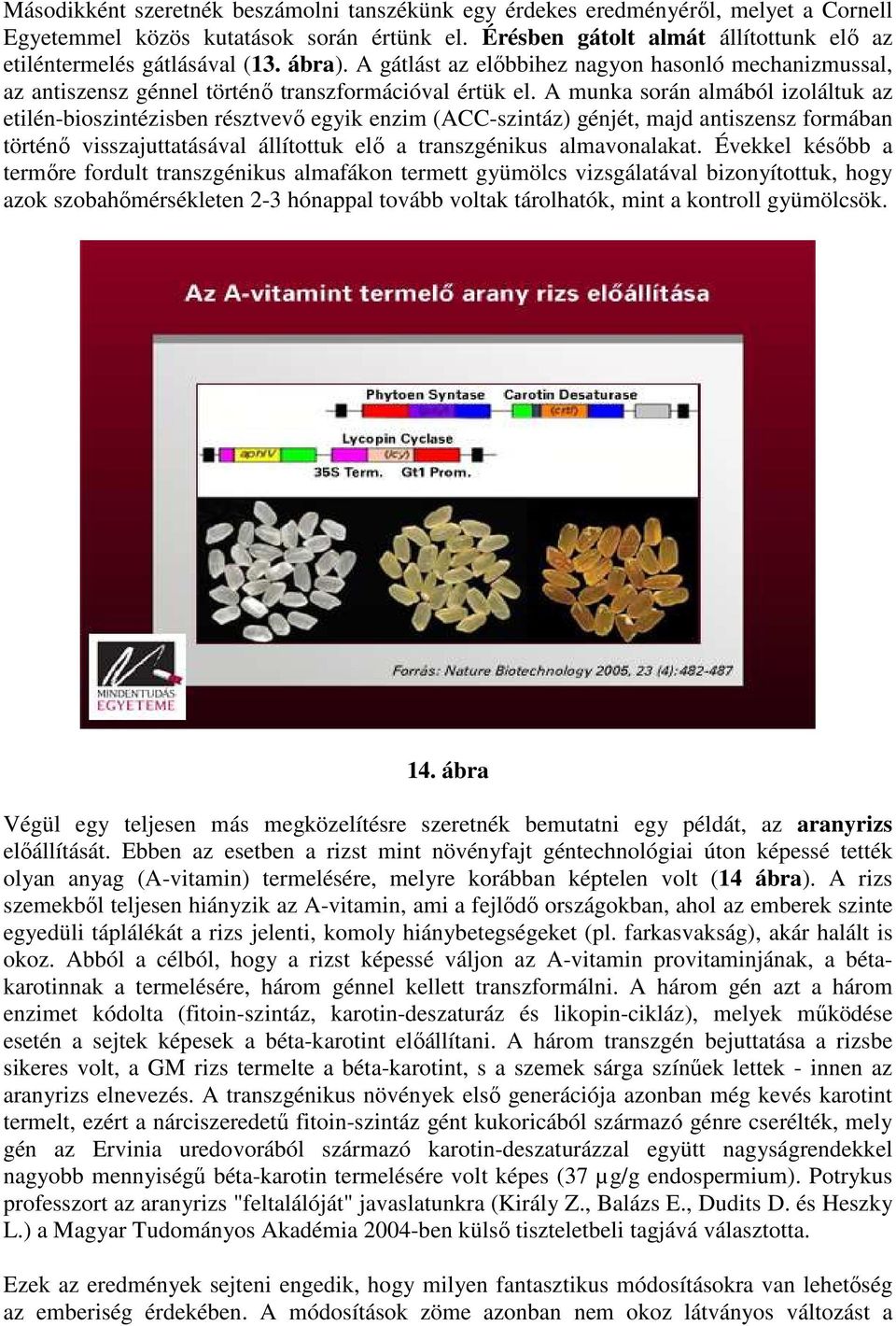 A munka során almából izoláltuk az etilén-bioszintézisben résztvevő egyik enzim (ACC-szintáz) génjét, majd antiszensz formában történő visszajuttatásával állítottuk elő a transzgénikus almavonalakat.