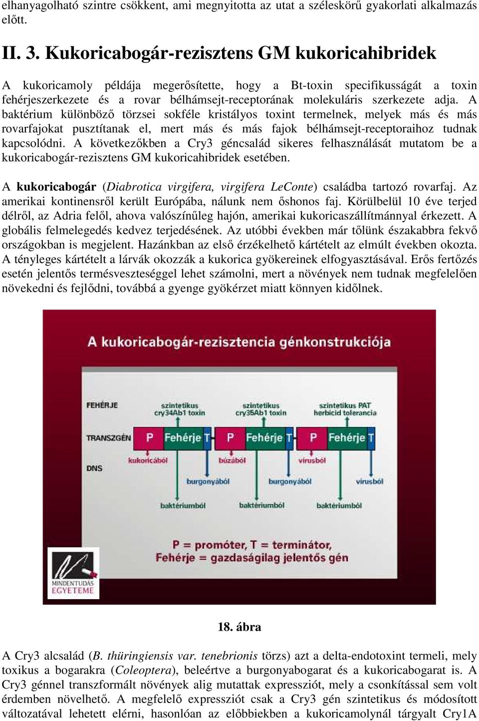 adja. A baktérium különböző törzsei sokféle kristályos toxint termelnek, melyek más és más rovarfajokat pusztítanak el, mert más és más fajok bélhámsejt-receptoraihoz tudnak kapcsolódni.