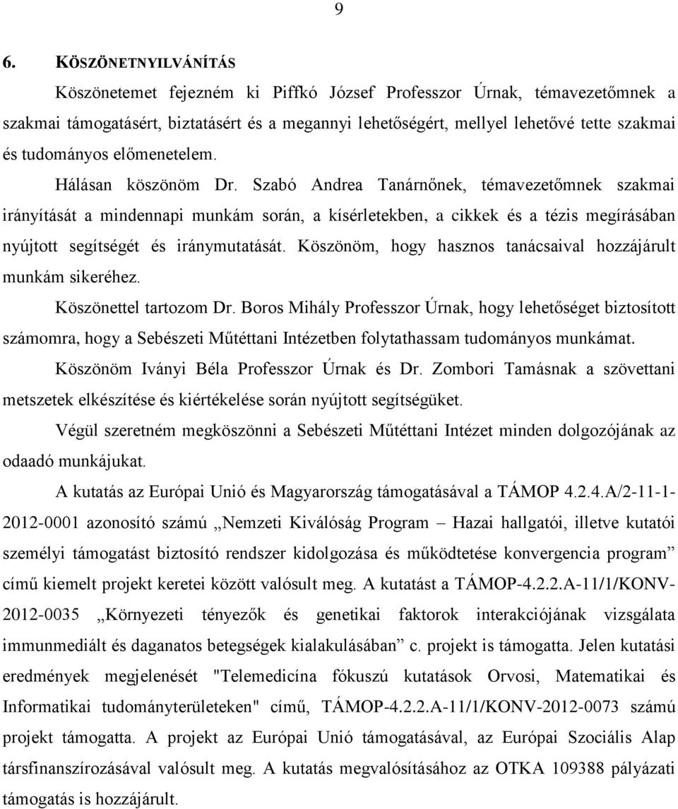 Szabó Andrea Tanárnőnek, témavezetőmnek szakmai irányítását a mindennapi munkám során, a kísérletekben, a cikkek és a tézis megírásában nyújtott segítségét és iránymutatását.