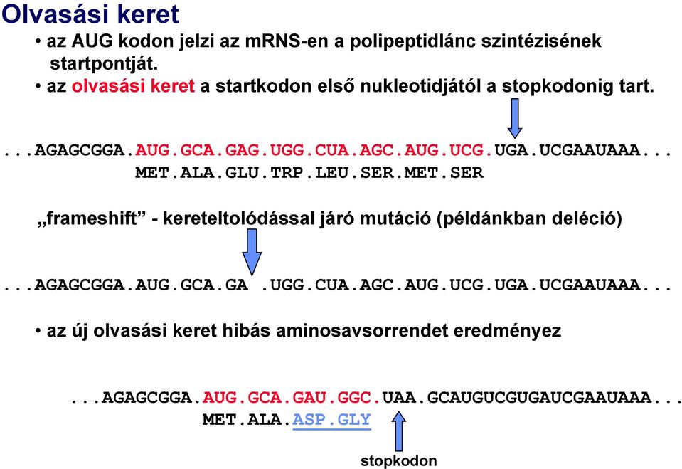 .. MET.ALA.GLU.TRP.LEU.SER.MET.SER frameshift - kereteltolódással járó mutáció (példánkban deléció)...agagcgga.aug.gca.ga.ugg.