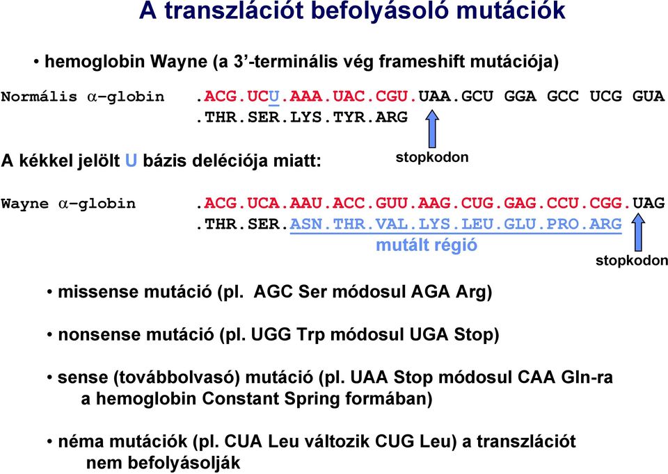 ser.asn.thr.val.lys.leu.glu.pro.arg mutált régió stopkodon missense mutáció (pl. AGC Ser módosul AGA Arg) nonsense mutáció (pl.
