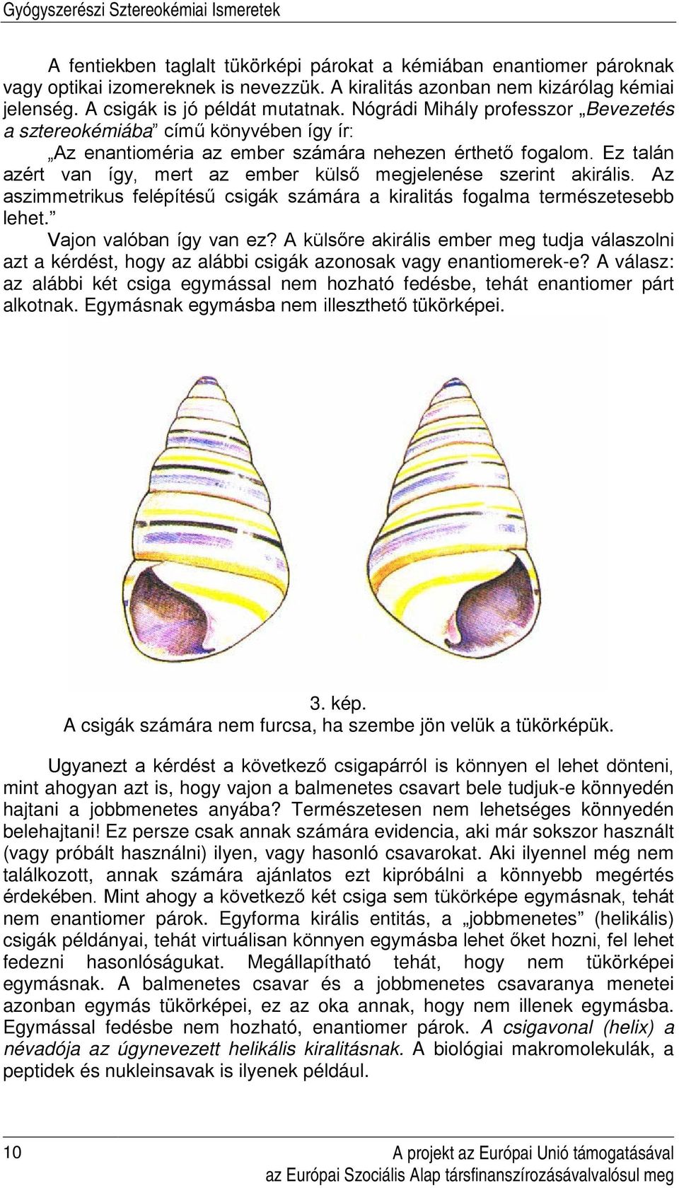 Ez talán azért van így, mert az ember külső megjelenése szerint akirális. Az aszimmetrikus felépítésű csigák számára a kiralitás fogalma természetesebb lehet. Vajon valóban így van ez?