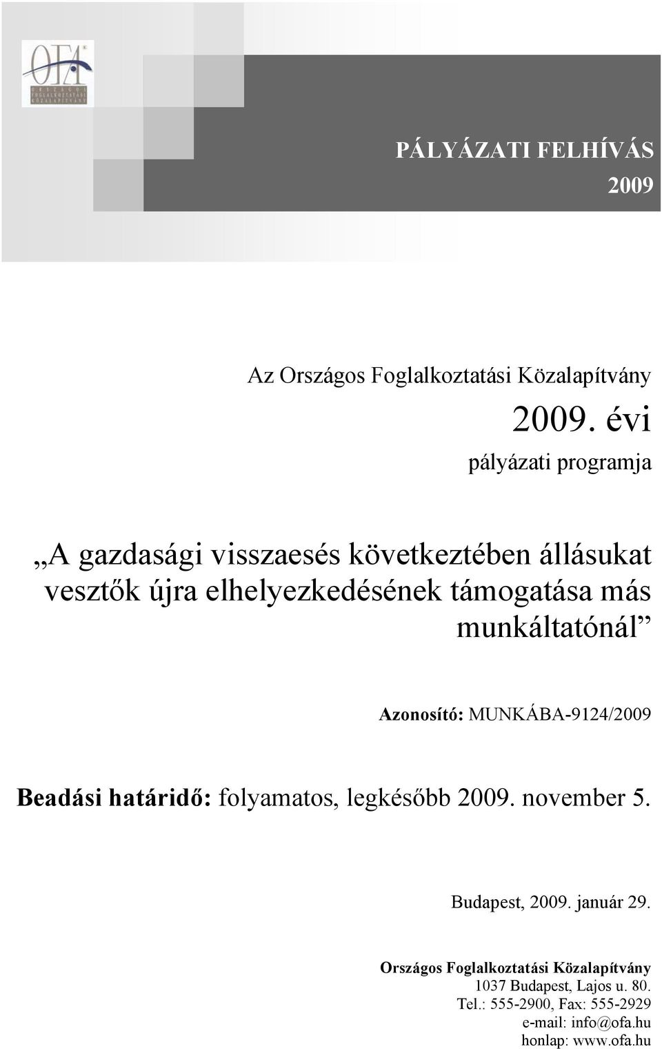 más munkáltatónál Azonosító: MUNKÁBA-9124/2009 Beadási határidő: folyamatos, legkésőbb 2009. november 5.