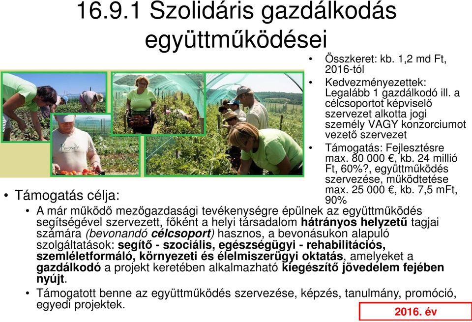 25 000, kb.