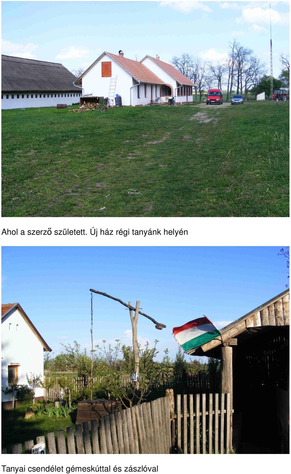 helyén Tanyai csendélet