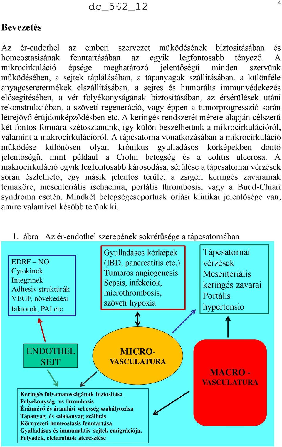 immunvédekezés elősegitésében, a vér folyékonyságának biztositásában, az érsérülések utáni rekonstrukcióban, a szöveti regeneráció, vagy éppen a tumorprogresszió során létrejövő érújdonképződésben