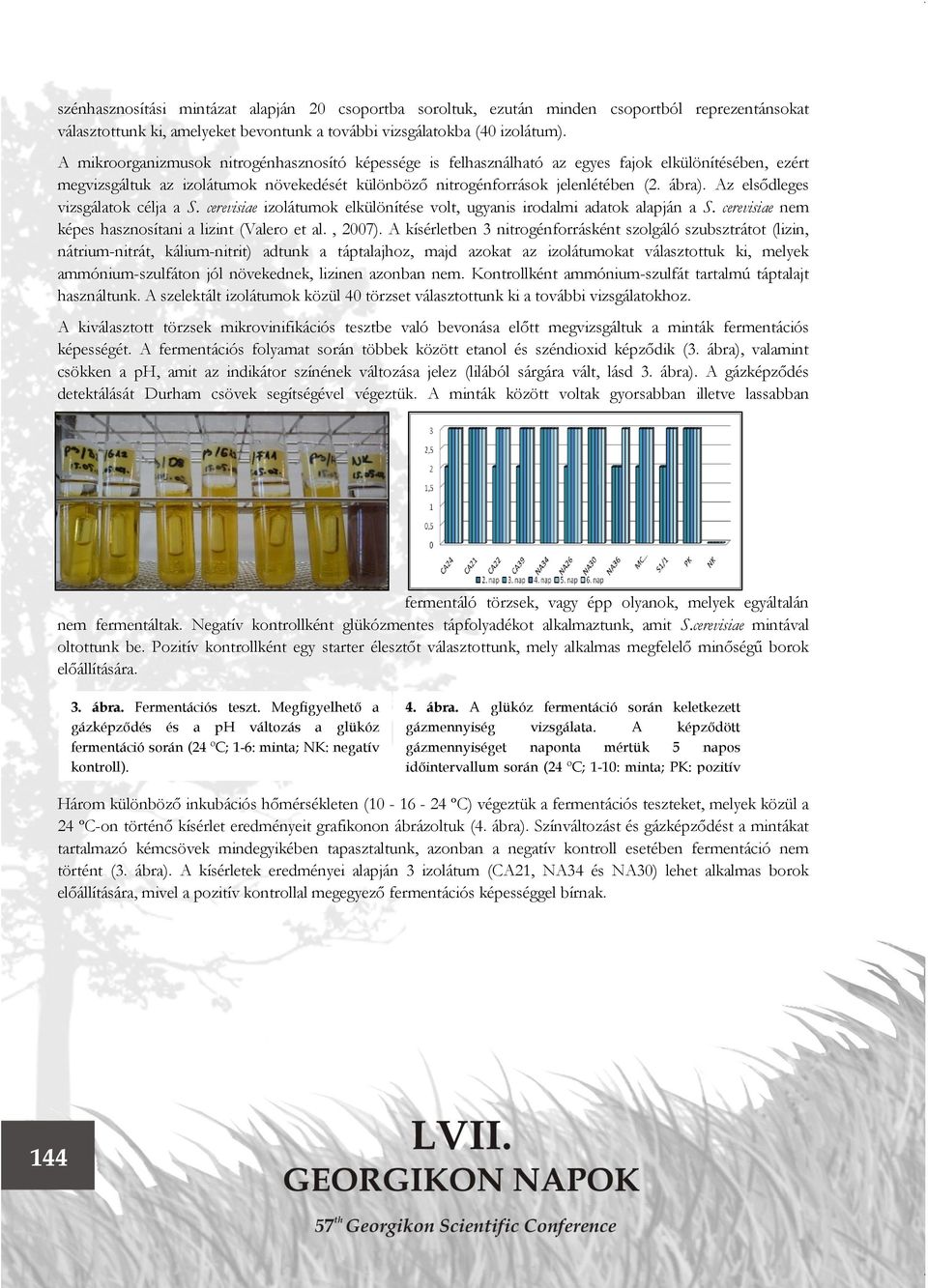 Az elsődleges vizsgálatok célja a S. cerevisiae izolátumok elkülönítése volt, ugyanis irodalmi adatok alapján a S. cerevisiae nem képes hasznosítani a lizint (Valero et al., 2007).