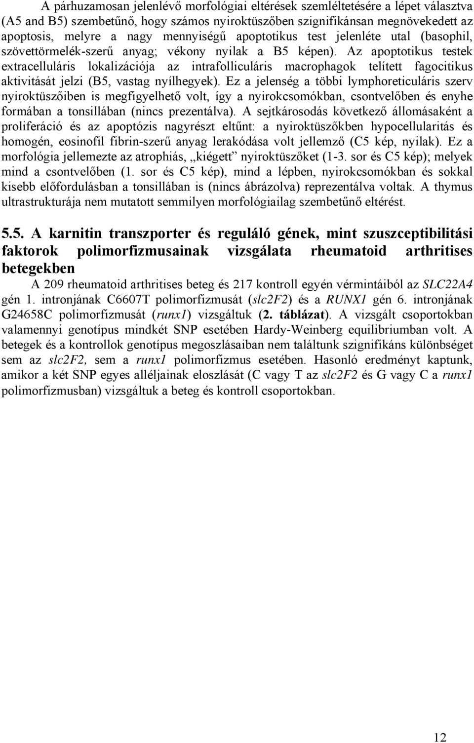 Az apoptotikus testek extracelluláris lokalizációja az intrafolliculáris macrophagok telített fagocitikus aktivitását jelzi (B5, vastag nyílhegyek).