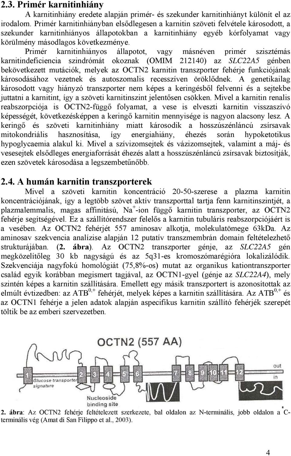 Primér karnitinhiányos állapotot, vagy másnéven primér szisztémás karnitindeficiencia szindrómát okoznak (OMIM 212140) az SLC22A5 génben bekövetkezett mutációk, melyek az OCTN2 karnitin transzporter