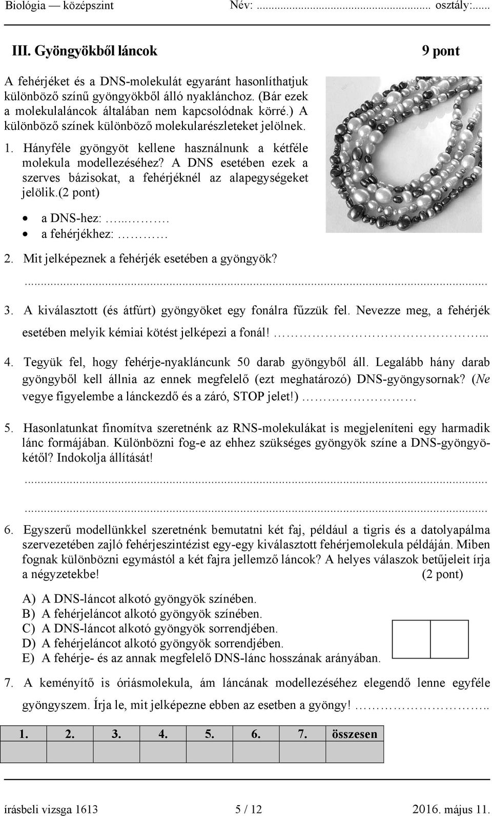 A DNS esetében ezek a szerves bázisokat, a fehérjéknél az alapegységeket jelölik.(2 pont) a DNS-hez:.... a fehérjékhez: 2. Mit jelképeznek a fehérjék esetében a gyöngyök? 3.