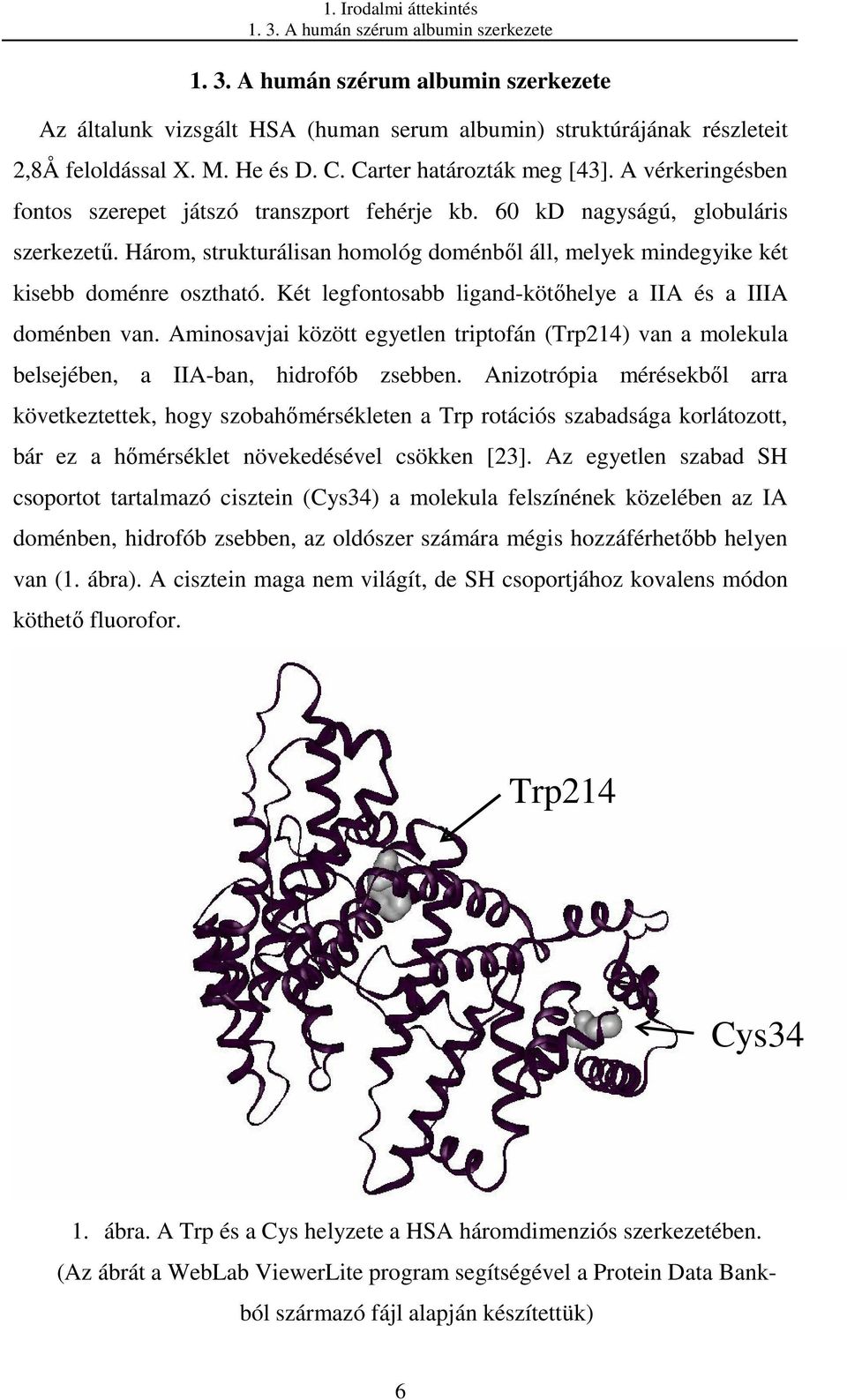 Három, strukturálisan homológ doménbıl áll, melyek mindegyike két kisebb doménre osztható. Két legfontosabb ligand-kötıhelye a IIA és a IIIA doménben van.