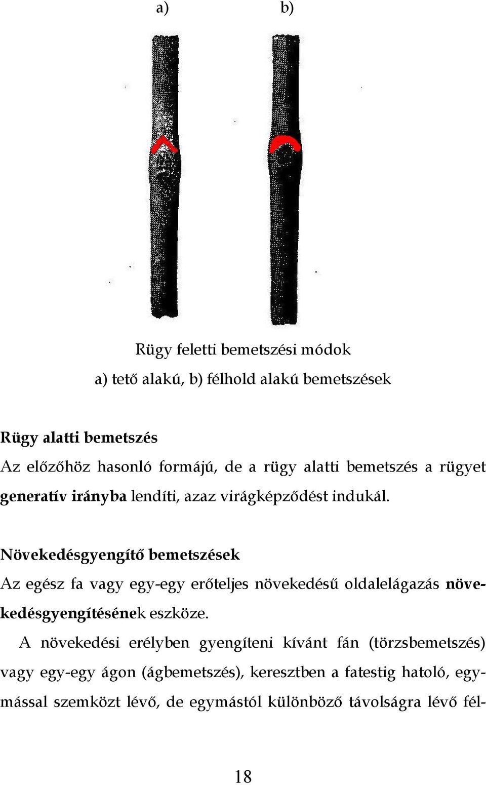 Növekedésgyengítő bemetszések Az egész fa vagy egy-egy erőteljes növekedésű oldalelágazás növekedésgyengítésének eszköze.