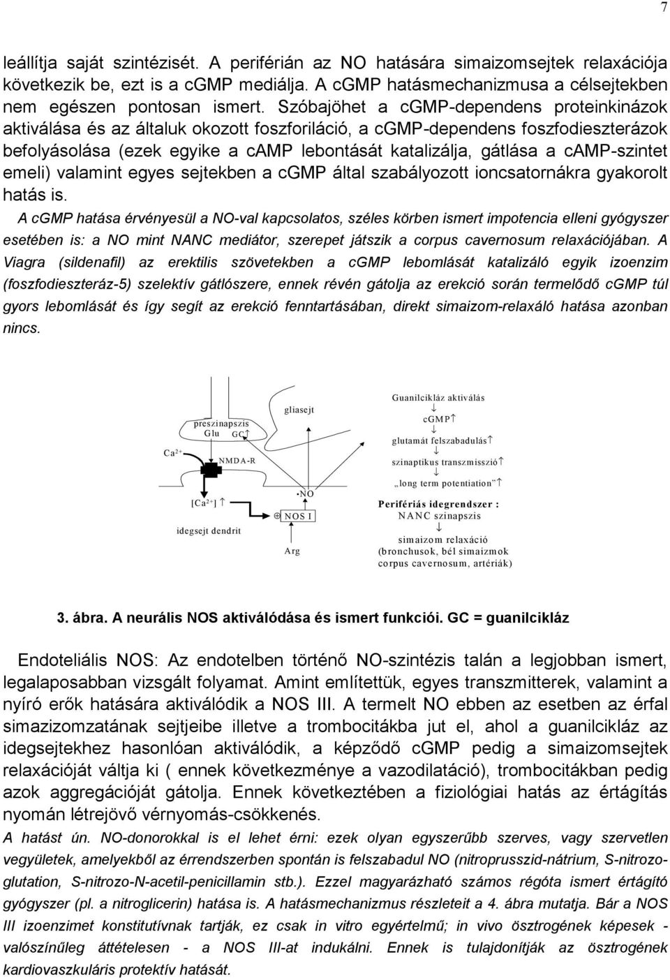 camp-szintet emeli) valamint egyes sejtekben a cgmp által szabályozott ioncsatornákra gyakorolt hatás is.