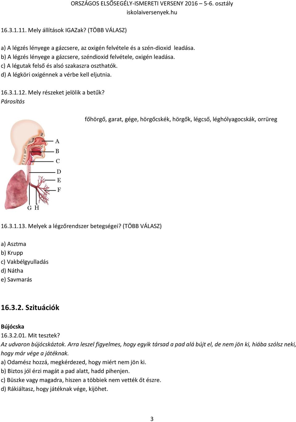 Párosítás főhörgő, garat, gége, hörgőcskék, hörgők, légcső, léghólyagocskák, orrüreg 16.3.1.13. Melyek a légzőrendszer betegségei?