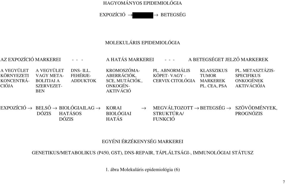 METASZTÁZIS- KÖRNYEZETI VAGY META- FEHÉRJE- ABERRÁCIÓK, KÖPET- VAGY - TUMOR SPECIFIKUS KONCENTRÁ- BOLITJAI A ADDUKTOK SCE, MUTÁCIÓK, CERVIX CITOLÓGIA MARKEREK ONKOGÉNEK CIÓJA SZERVEZET-