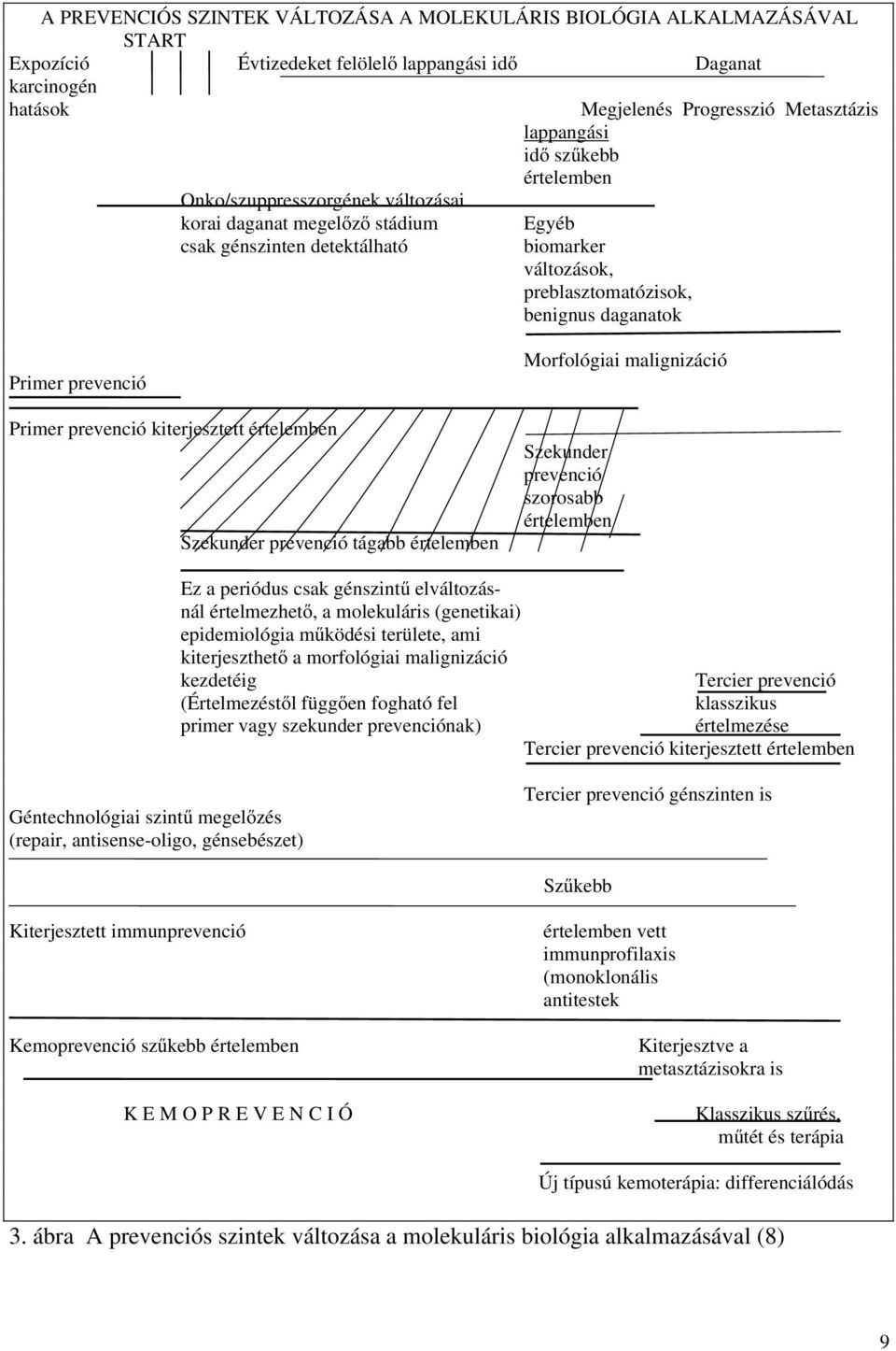 Primer prevenció kiterjesztett értelemben Szekunder prevenció tágabb értelemben Morfológiai malignizáció Szekunder prevenció szorosabb értelemben Ez a periódus csak génszintű elváltozásnál