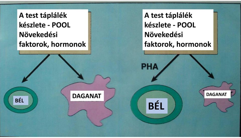 BÉL DAGANAT BÉL DAGANAT