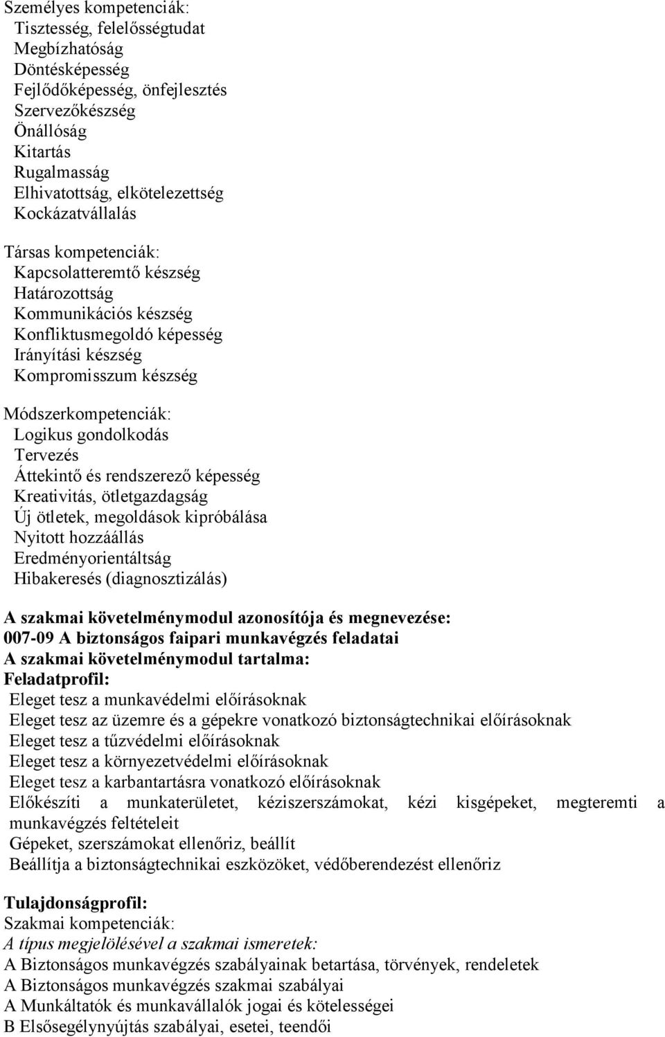 gondolkodás Tervezés Áttekintő és rendszerező képesség Kreativitás, ötletgazdagság Új ötletek, megoldások kipróbálása Nyitott hozzáállás Eredményorientáltság Hibakeresés (diagnosztizálás) A szakmai