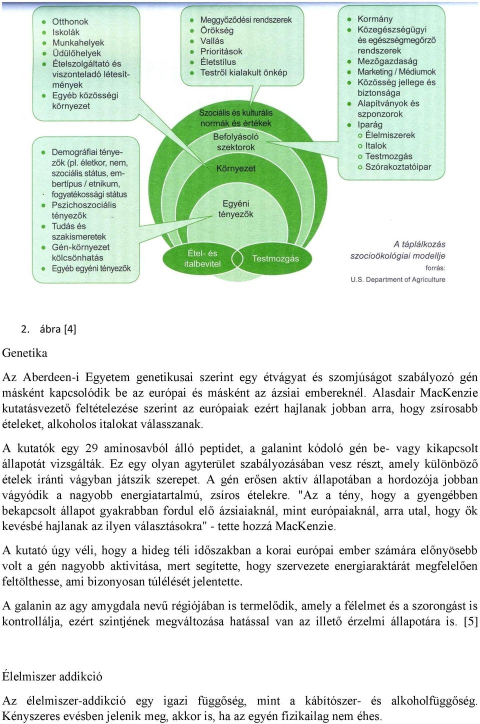 A kutatók egy 29 aminosavból álló peptidet, a galanint kódoló gén be- vagy kikapcsolt állapotát vizsgálták.