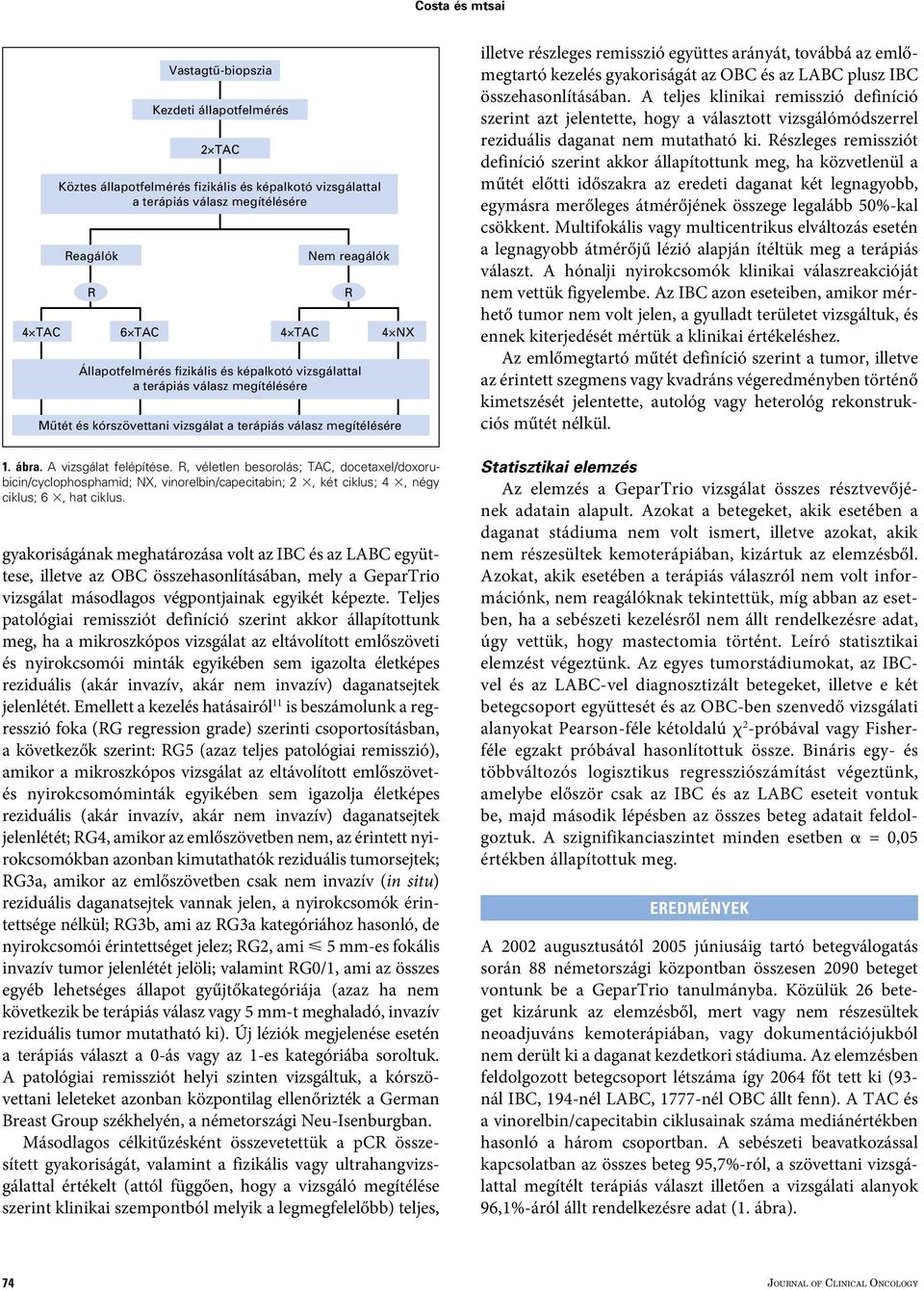 R, véletlen besorolás; TAC, docetaxel/doxorubicin/cyclophosphamid; NX, vinorelbin/capecitabin; 2 3, két ciklus; 4 3, négy ciklus; 6 3, hat ciklus.