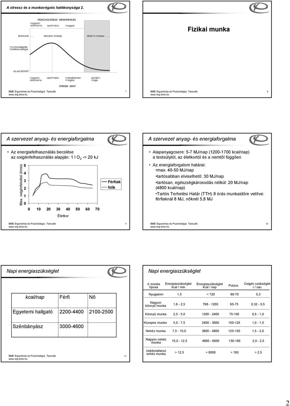 oxigénfelvétel (l/min) 5 4 3 2 1 0 0 10 20 30 40 50 60 70 Életkor Férfiak Nők Alapanyagcsere: 5-7 MJ/nap (1200-1700 kcal/nap) a testsúlytól, az életkortól és a nemtől függően Az energiaforgalom