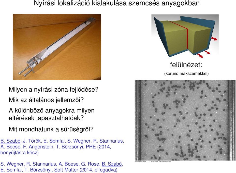 Somfai, S. Wegner, R. Stannarius, A. Boese, F. Angenstein, T. Börzsönyi, PRE (2014, benyújtásra kész) S. Wegner, R. Stannarius, A. Boese, G.