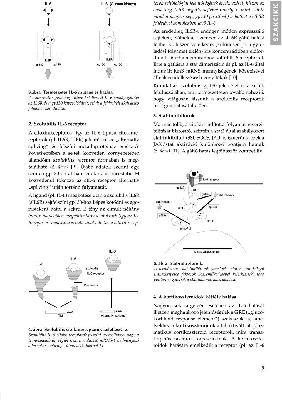 IL6R, LIFR) jelentôs része alternatív splicing és felszíni metalloproteináz emésztés következtében a sejtek közvetlen környezetében állandóan szolubilis receptor formában is megtalálható (4.