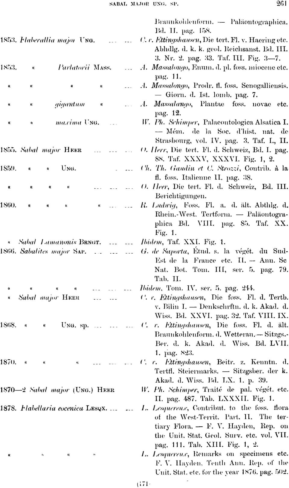 1 haunkohlenform. Palaontographica. Bd. II. pag. 158. (. r. Iútínffshausm,T)ie tort.. Fl. v. Haering etc. Ablidlg. (1. k. k. geol. Reichsanst. Bd. III. 3. Nr. 2. pag. 33. Taf. III. Fig. 3 7. A. Massalont/o, Emim.