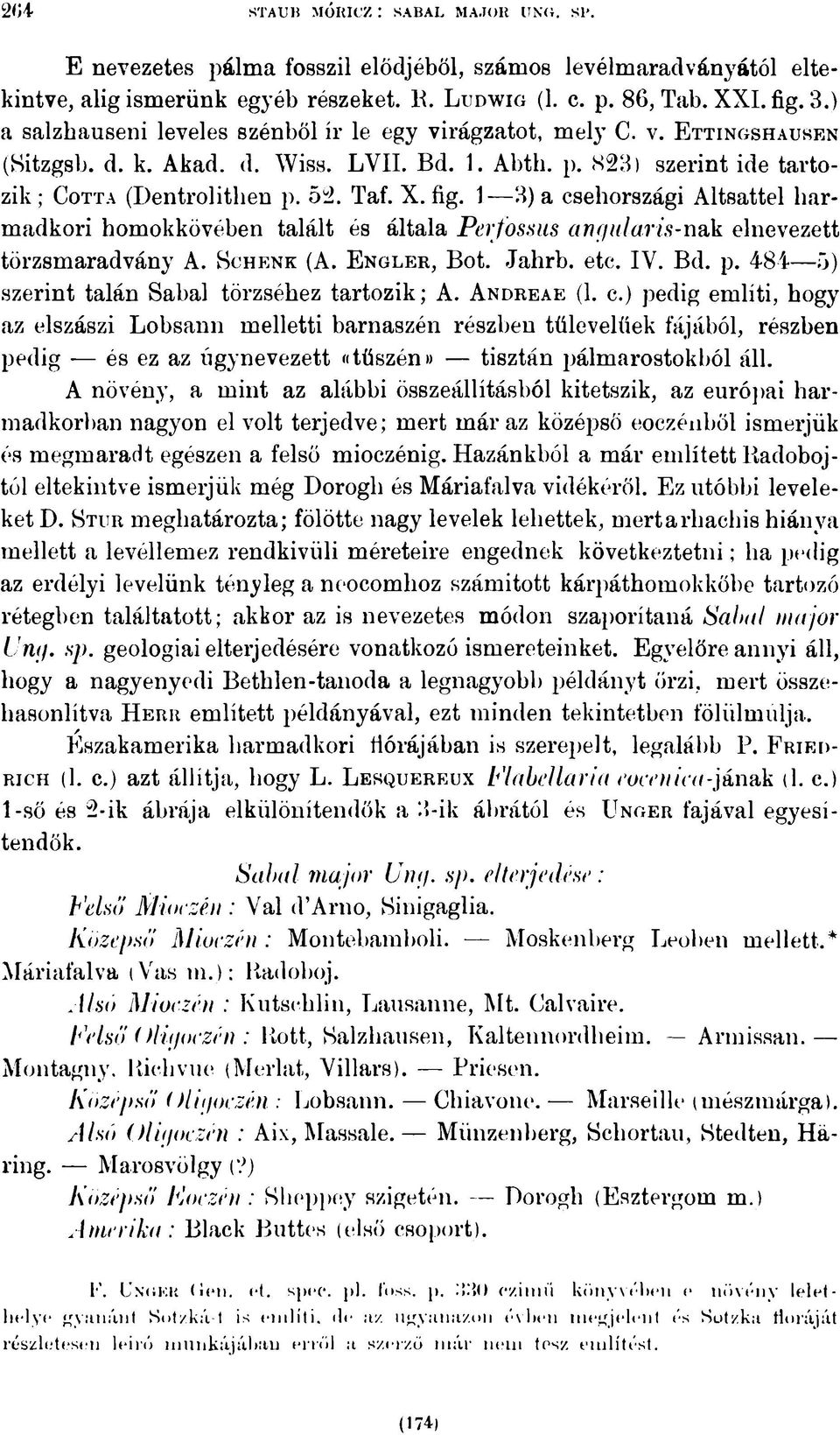 Taf. X. fig. 1 3) a csehországi Altsattel harmadkori homokkövében talált és általa Perfossus angularis-nsk elnevezett törzsmaradvány A. S c h e n k (A. E n g l e r, Bot. Jahrb. etc. IV. Bd. p.
