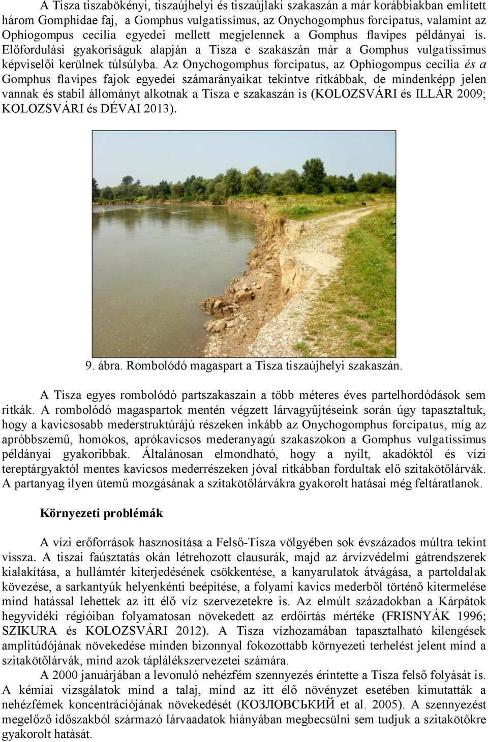 Az Onychogomphus forcipatus, az Ophiogompus cecilia és a Gomphus flavipes fajok egyedei számarányaikat tekintve ritkábbak, de mindenképp jelen vannak és stabil állományt alkotnak a Tisza e szakaszán