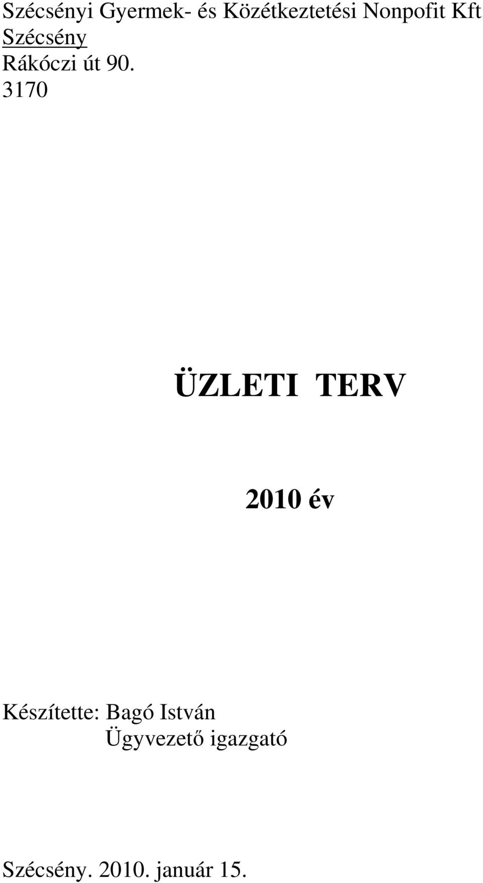 3170 ÜZLETI TERV 2010 év Készítette: Bagó