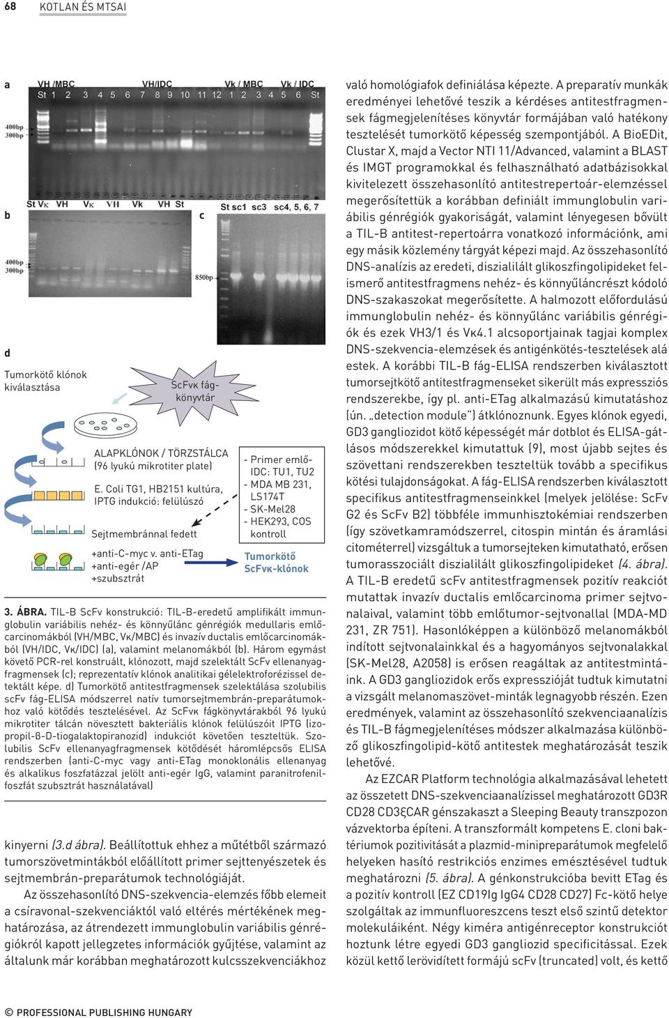 Vκ/IDC) (a), valamint melanomákból (b).