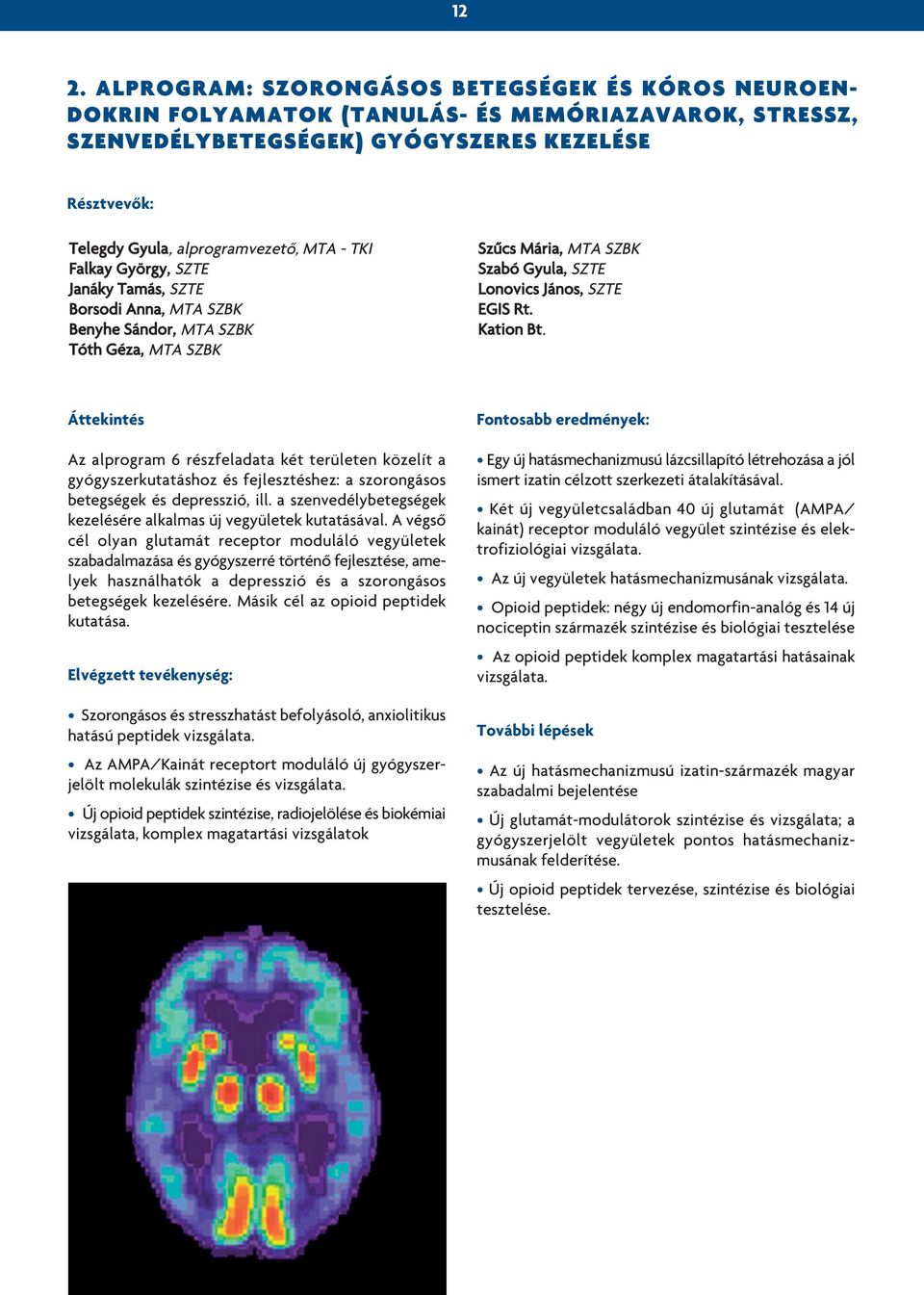 Rt. Kation Bt. Áttekintés Az alprogram 6 részfeladata két területen közelít a gyógyszerkutatáshoz és fejlesztéshez: a szorongásos betegségek és depresszió, ill.