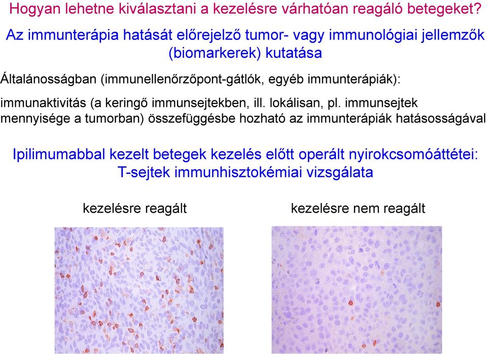 (immunellenőrzőpont-gátlók, egyéb immunterápiák): immunaktivitás (a keringő immunsejtekben, ill. lokálisan, pl.