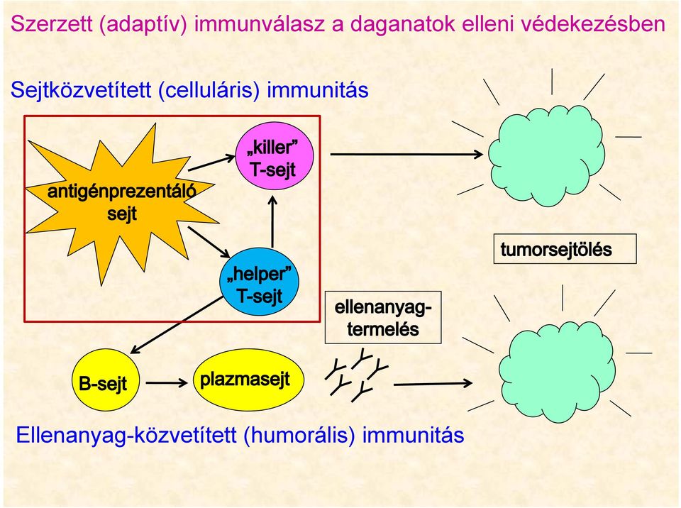 Sejtközvetített (celluláris)