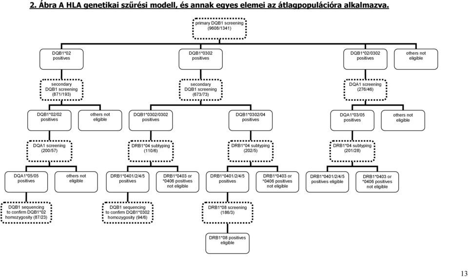 not eligible DQB1*0302/0302 DQB1*0302/04 DQA1*03/05 others not eligible DQA1 screening (200/57) DRB1*04 subtyping (110/6) DRB1*04 subtyping (202/5) DRB1*04 subtyping (201/28) DQA1*05/05 others not