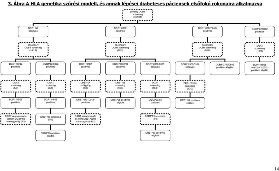 DQB1*0302/0502 eligible DQA1*03/05 and DQA1*03/03 eligible DQA1 screening (5/4) DQA1 screening (3/1) DRB1*04 subtyping (8/2) DRB1*08 screening (10/3) DQA1 screening (10/0) DRB1*01/10 screening (10/2)