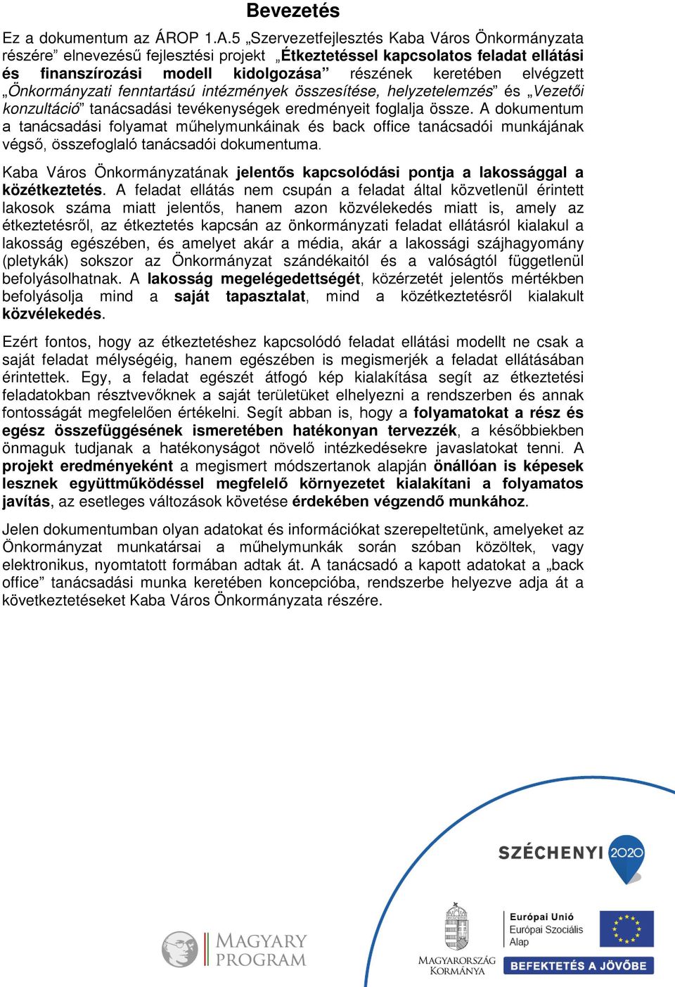 Önkormányzati fenntartású intézmények összesítése, helyzetelemzés és Vezetői konzultáció tanácsadási tevékenységek eredményeit foglalja össze.