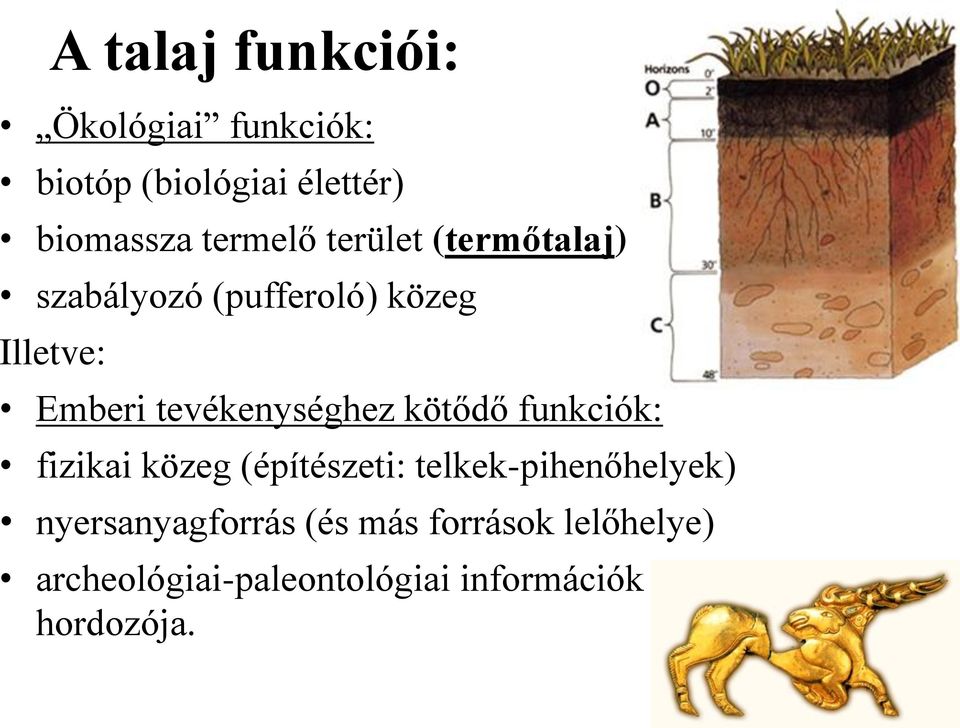 tevékenységhez kötődő funkciók: fizikai közeg (építészeti: telkek-pihenőhelyek)