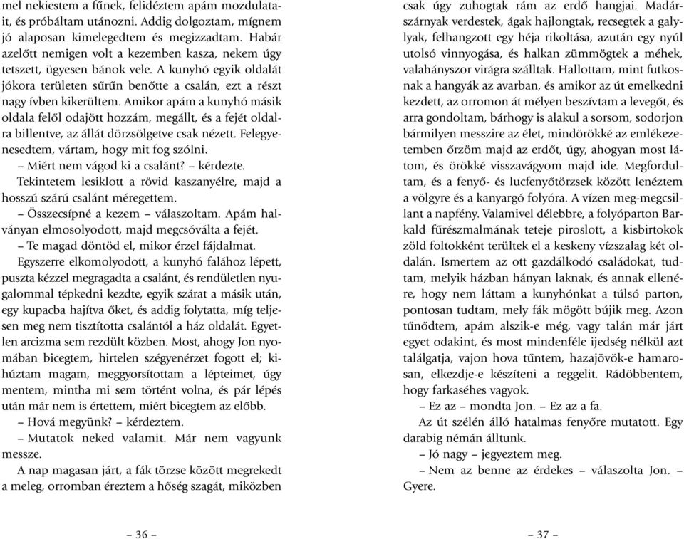 Amikor apám a kunyhó másik oldala felôl odajött hozzám, megállt, és a fejét oldalra billentve, az állát dörzsölgetve csak nézett. Fel egye - nesedtem, vártam, hogy mit fog szólni.