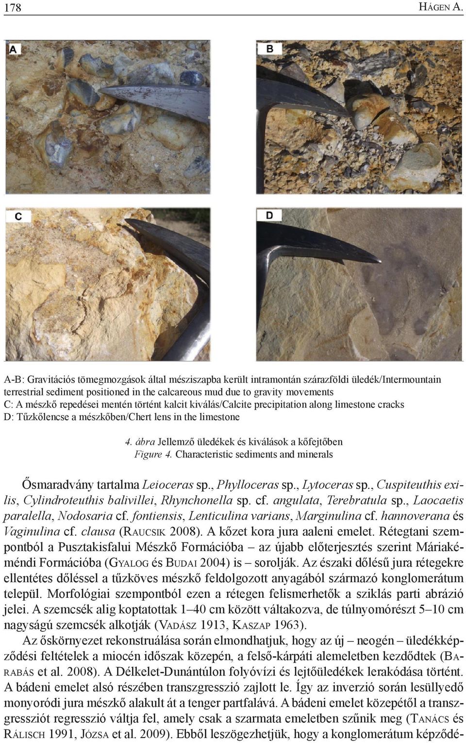 repedései mentén történt kalcit kiválás/calcite precipitation along limestone cracks D: Tűzkőlencse a mészkőben/chert lens in the limestone 4.