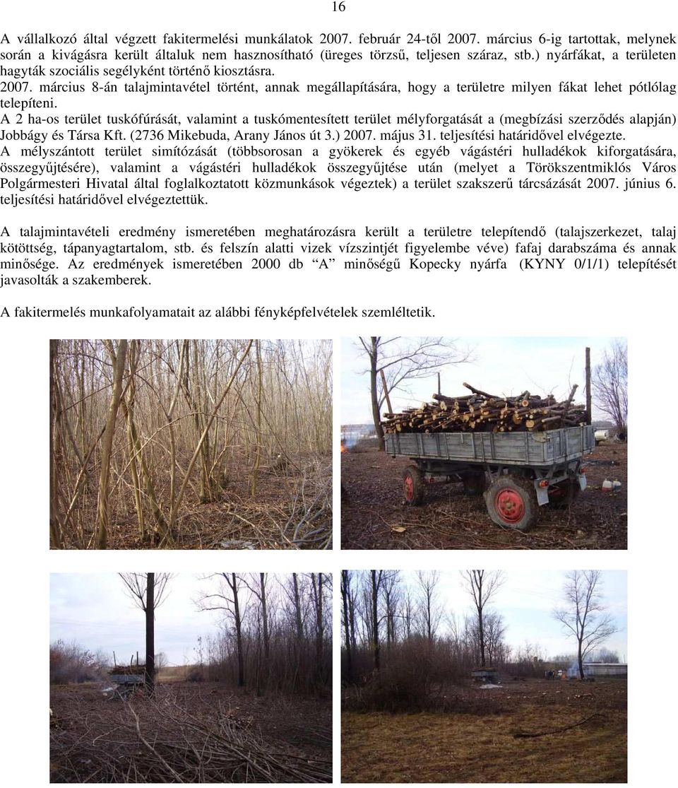 március 8-án talajmintavétel történt, annak megállapítására, hogy a területre milyen fákat lehet pótlólag telepíteni.