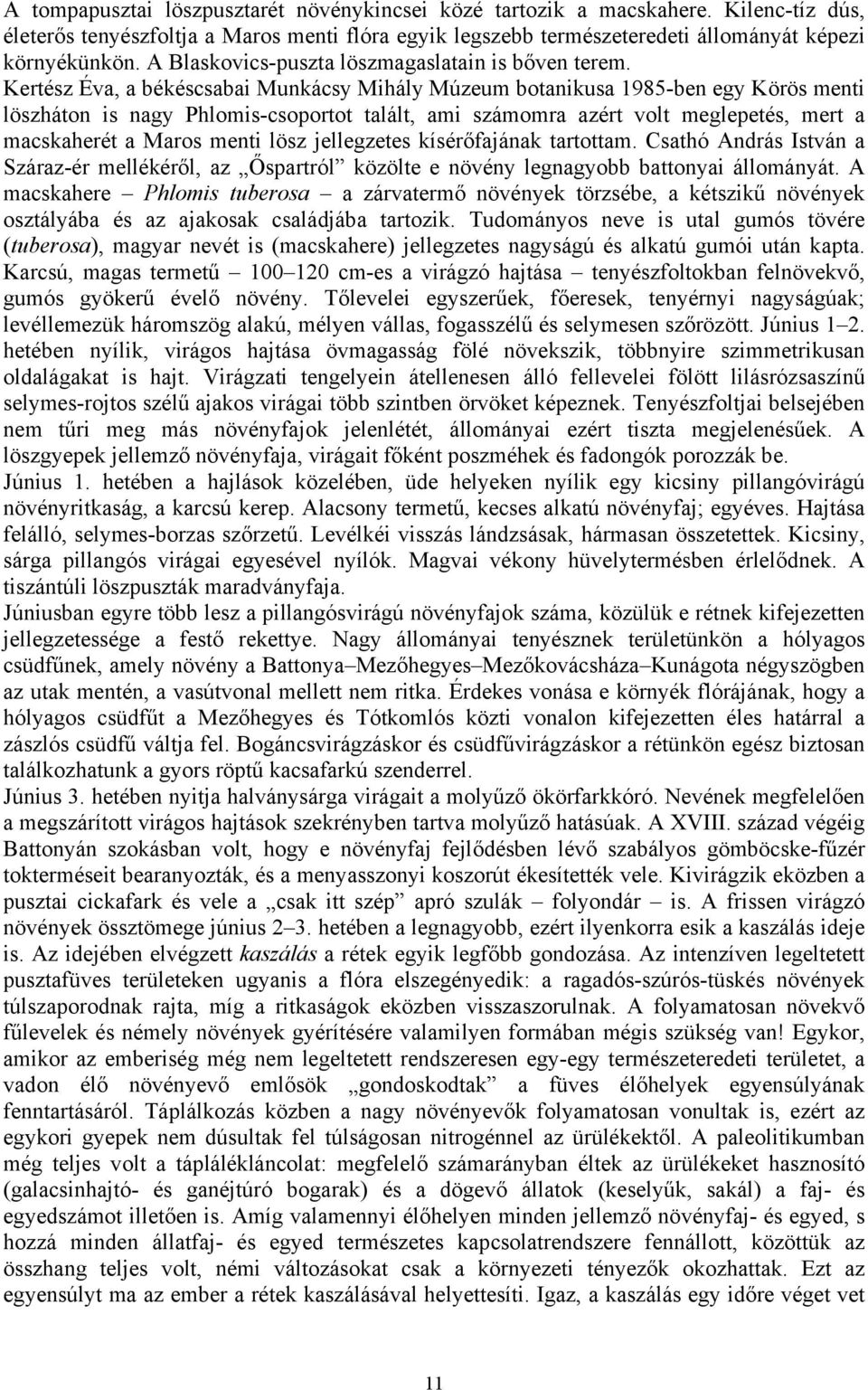 Kertész Éva, a békéscsabai Munkácsy Mihály Múzeum botanikusa 1985-ben egy Körös menti löszháton is nagy Phlomis-csoportot talált, ami számomra azért volt meglepetés, mert a macskaherét a Maros menti